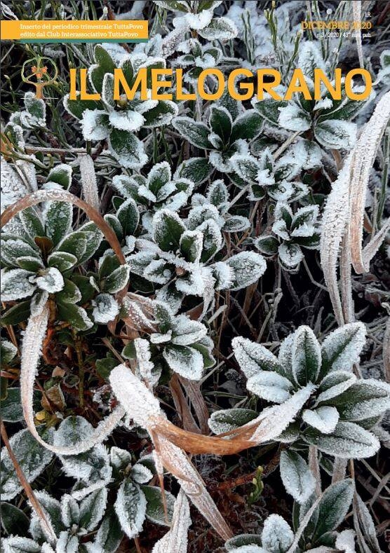 Immagine: Rivista "Il Melograno" dicembre 2020
