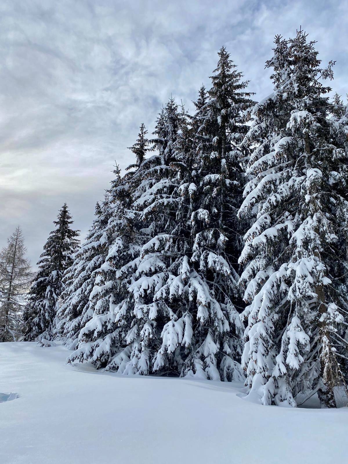 Immagine: Rivista "Il Melograno" dicembre 2023