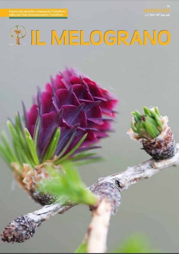 Immagine: Rivista "Il Melograno" marzo 2021