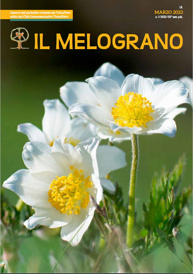 Immagine: Rivista "Il Melograno" marzo 2023