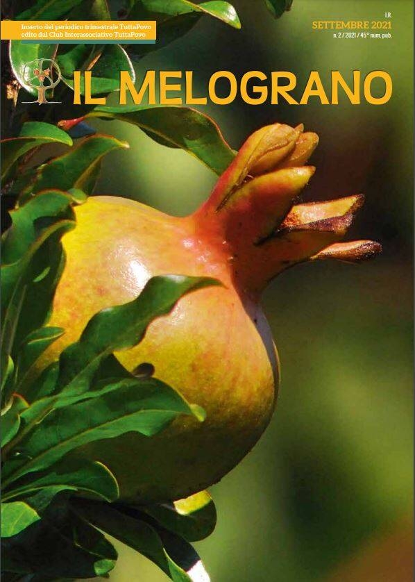 Immagine: Rivista "Il Melograno" settembre 2021