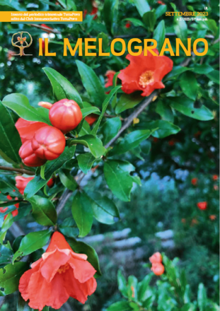 Immagine: Rivista "Il Melograno" settembre 2023