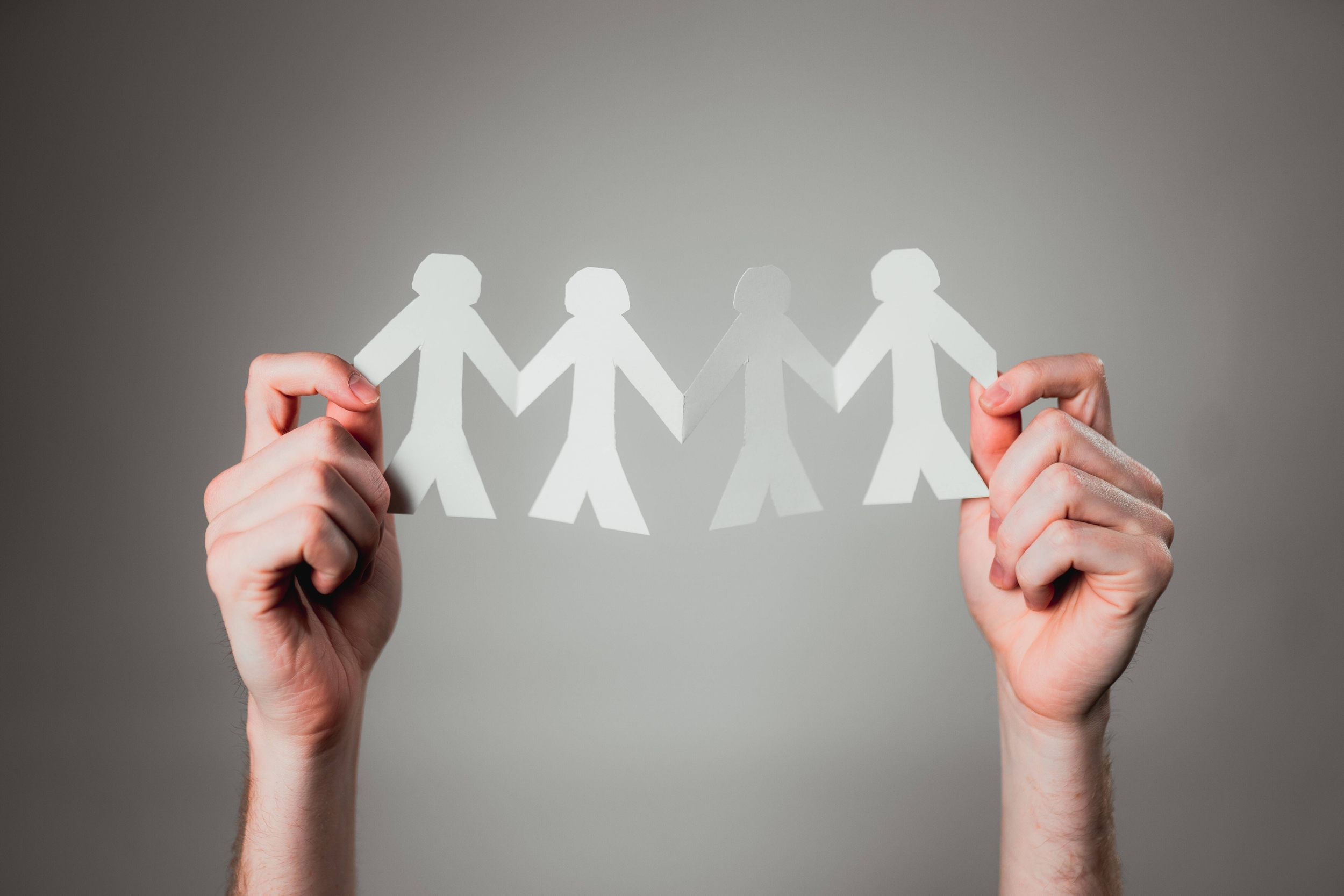 Immagine: Organizzazione