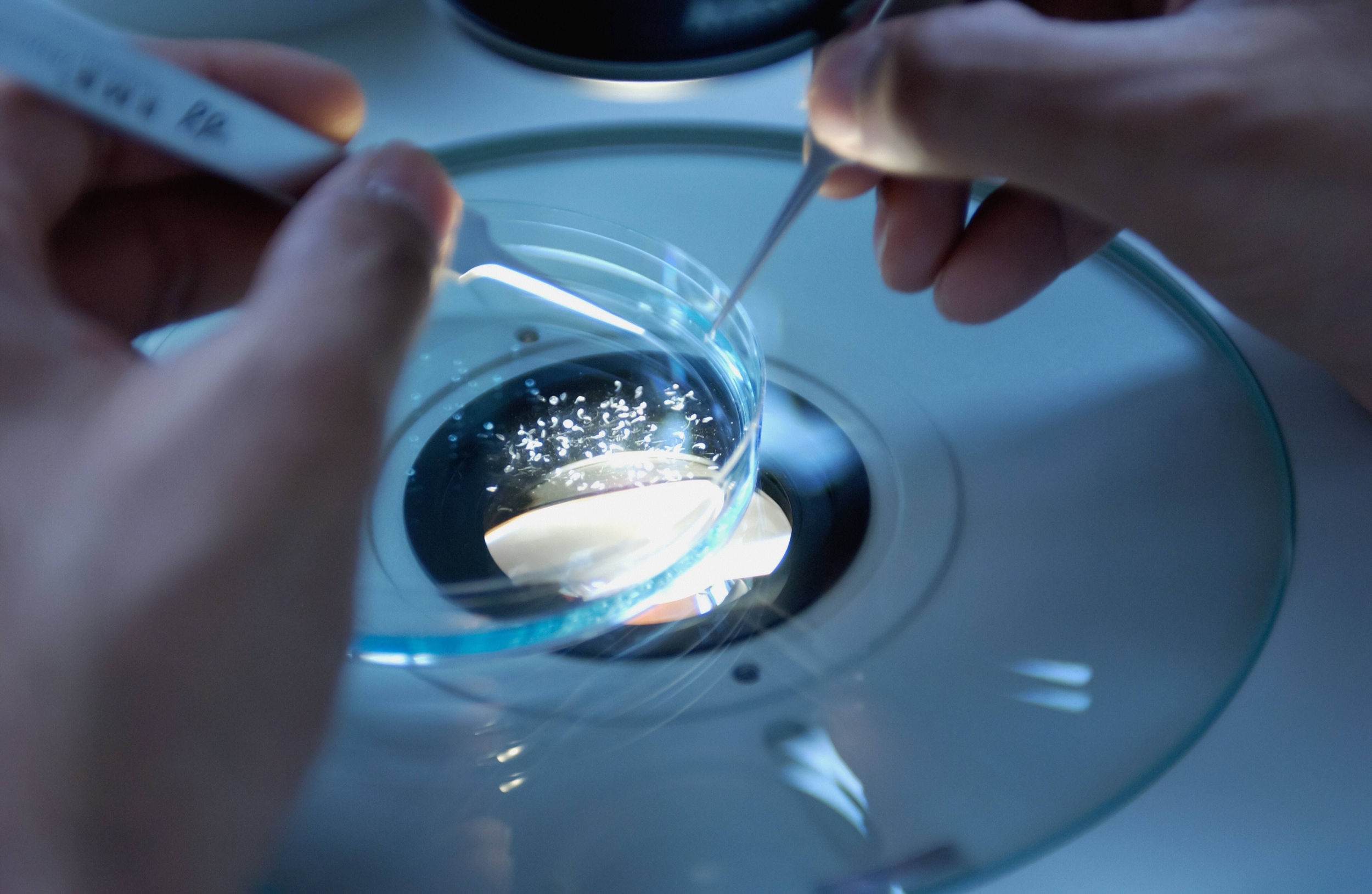 Immagine: Ricerca e innovazione