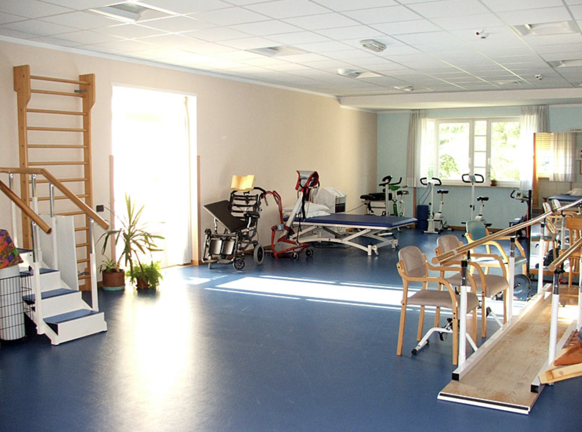 Immagine: Palestra