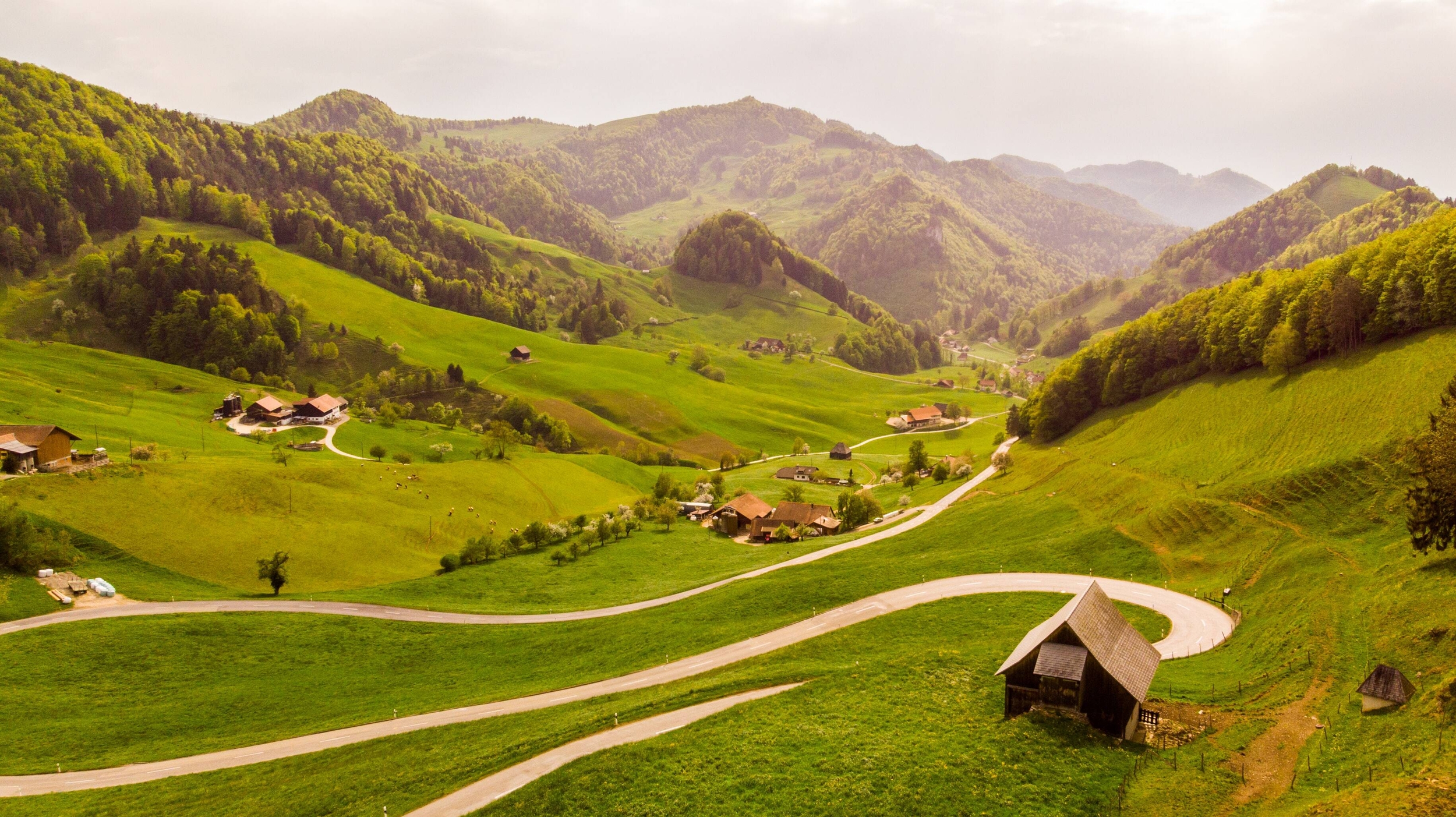 Immagine: Territorio