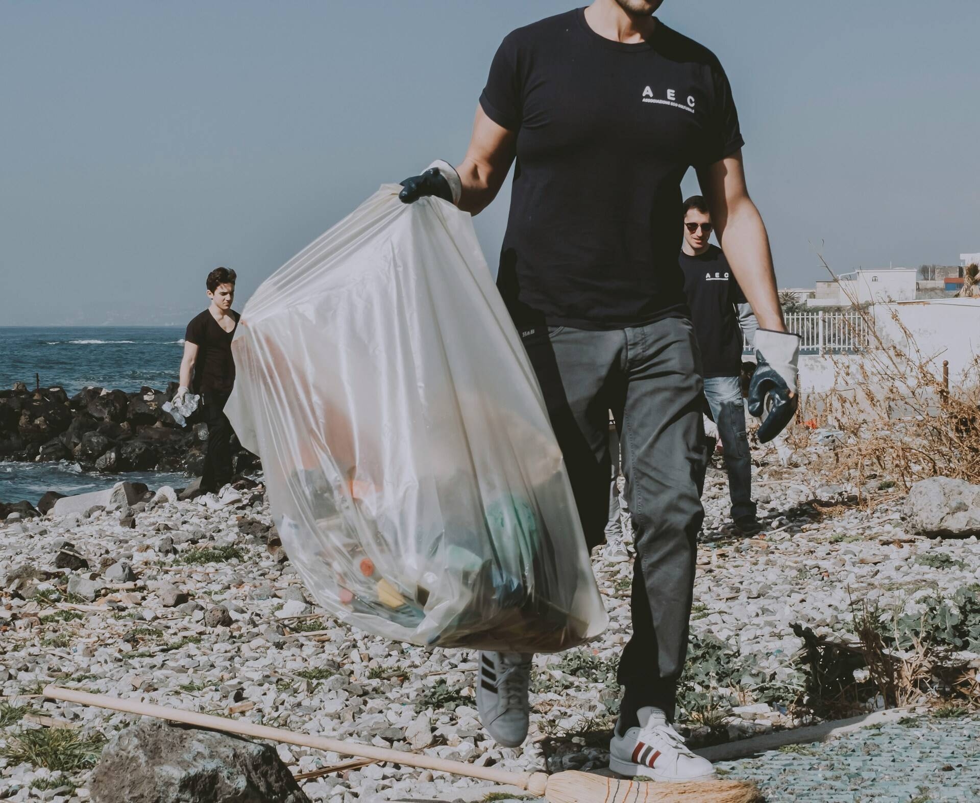 Immagine: Volontariato ambientale